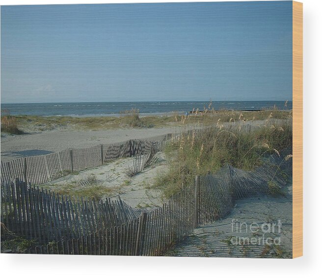 Beach Wood Print featuring the photograph Barely Fenced by Mark Robbins