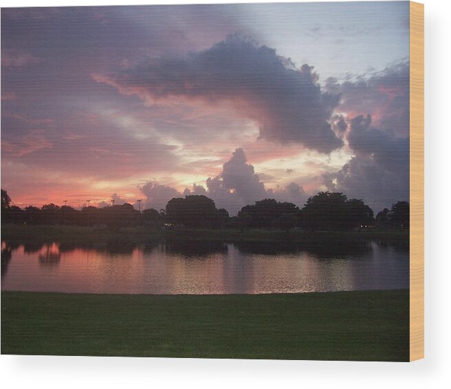 Sunrise Wood Print featuring the photograph Believe It Or Not by Sheila Silverstein