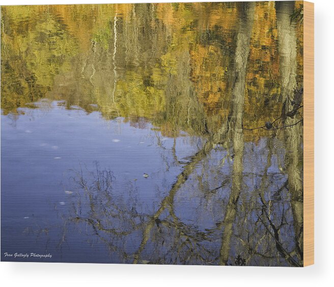 Landscape Wood Print featuring the photograph Birches by Fran Gallogly