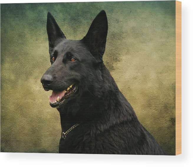 German Shepherd Wood Print featuring the photograph Black German Shepherd Dog III by Sandy Keeton