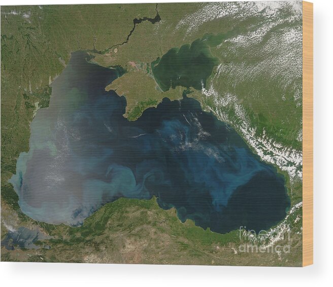 Black Sea Wood Print featuring the photograph Black Sea Phytoplankton by Nasa