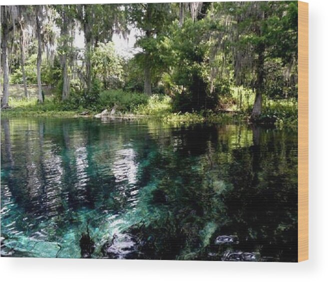 Blue Wood Print featuring the photograph Blue Lagoon x3 by Kim Galluzzo