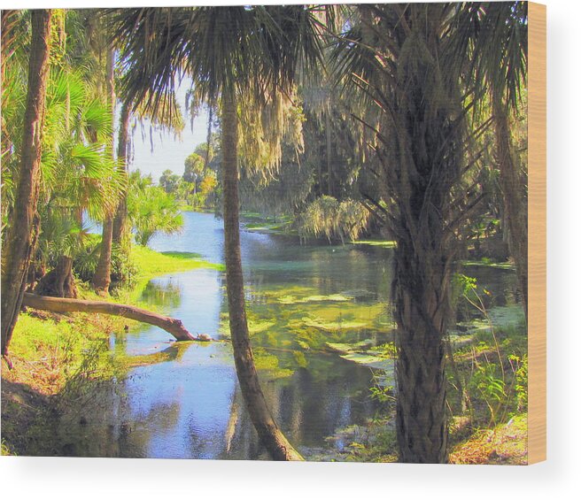 Palm Wood Print featuring the photograph Blue Springs by RobLew Photography