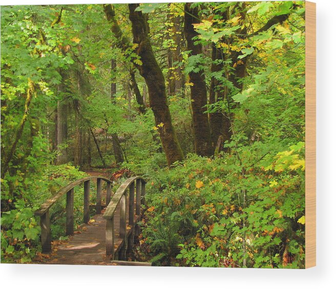Woods Wood Print featuring the photograph Bridge to a Fairytale by KATIE Vigil