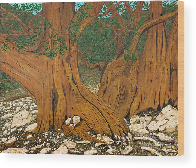 Bristlecone Pine Wood Print featuring the painting Bristlecone pine by L J Oakes