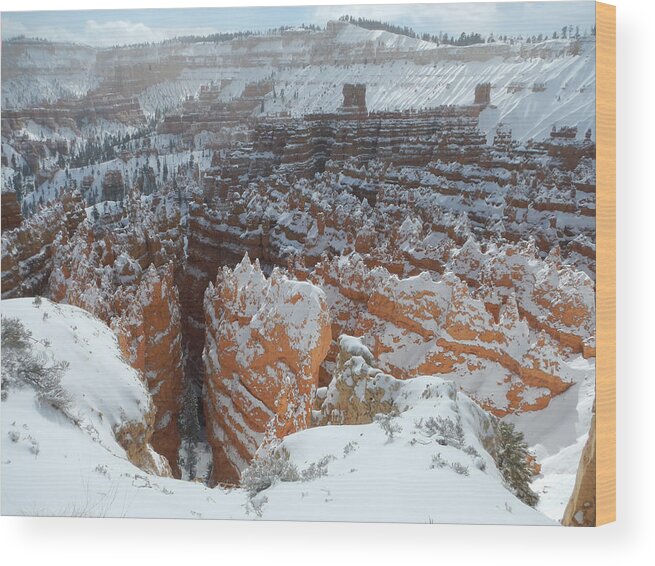 Landscape Wood Print featuring the photograph Bryce Canyon Feburary by Stephen Bartholomew