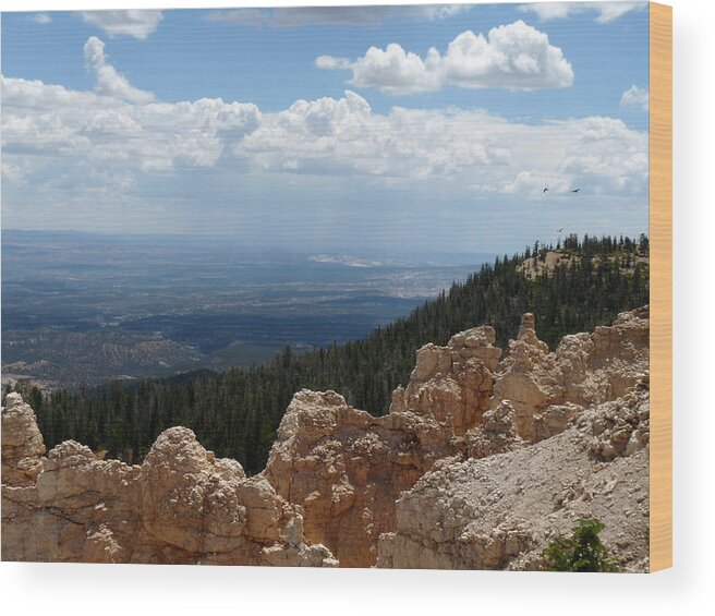 Terry Tanner Wood Print featuring the photograph Bryce Canyon III by Terry Eve Tanner