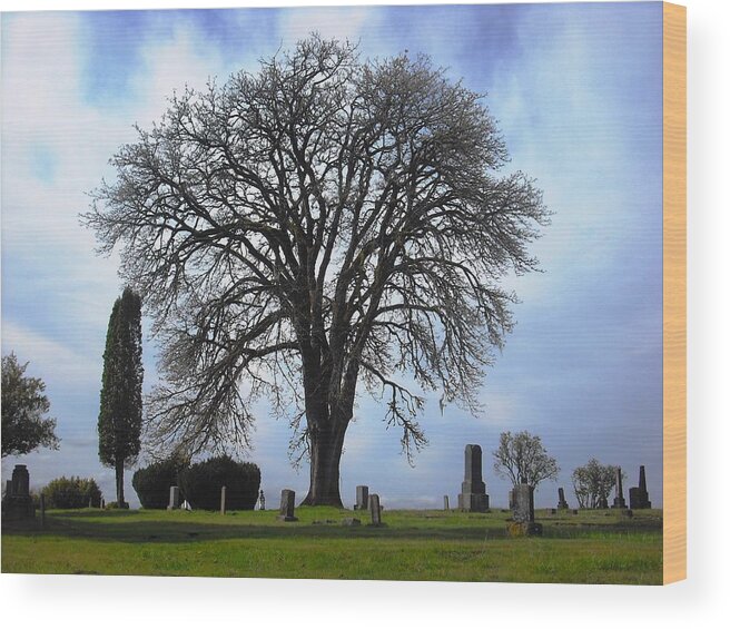 Port Gamble Wood Print featuring the photograph Buena Vista Cemetery Port Gamble by Kelly Manning