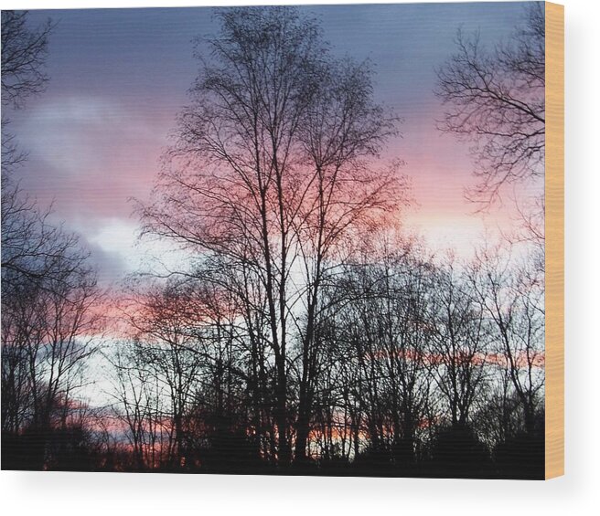 Butterfly Wood Print featuring the photograph Butterfly Wings Of Pink In The Sky by Kim Galluzzo