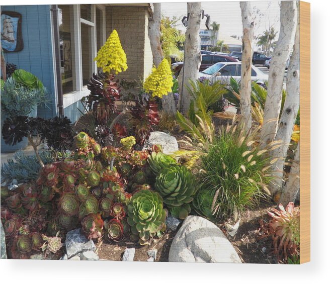 Flowers Wood Print featuring the photograph California Plants by Val Oconnor