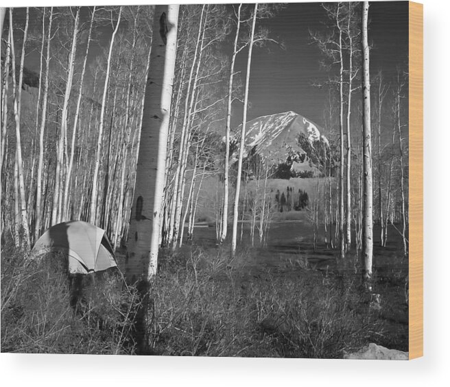 Original Wood Print featuring the photograph Camp at La Sal Mountain by T Cairns