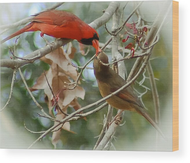 Cardinals Wood Print featuring the photograph Cardinal Kisses by DigiArt Diaries by Vicky B Fuller
