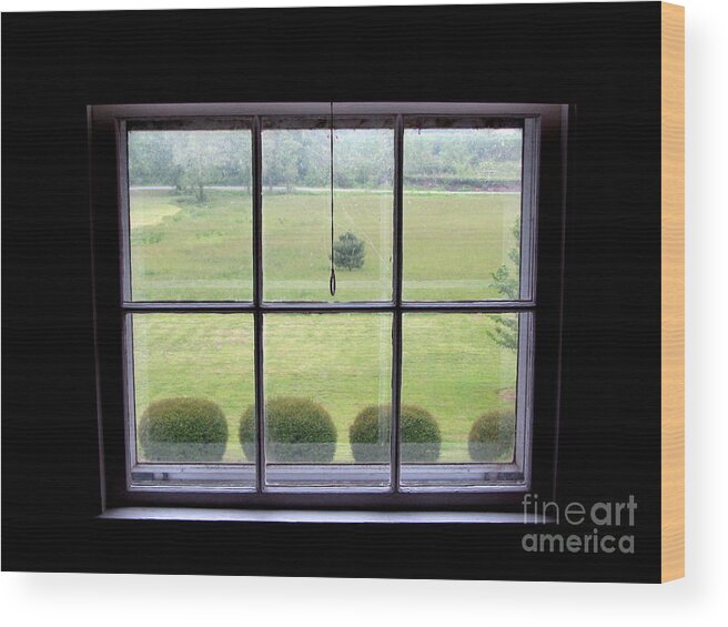Window Wood Print featuring the photograph Carolina Meadow by Lili Feinstein