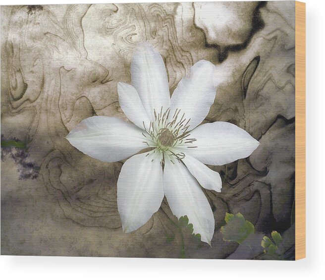 Digital Wood Print featuring the photograph Clematis by Richard Ortolano