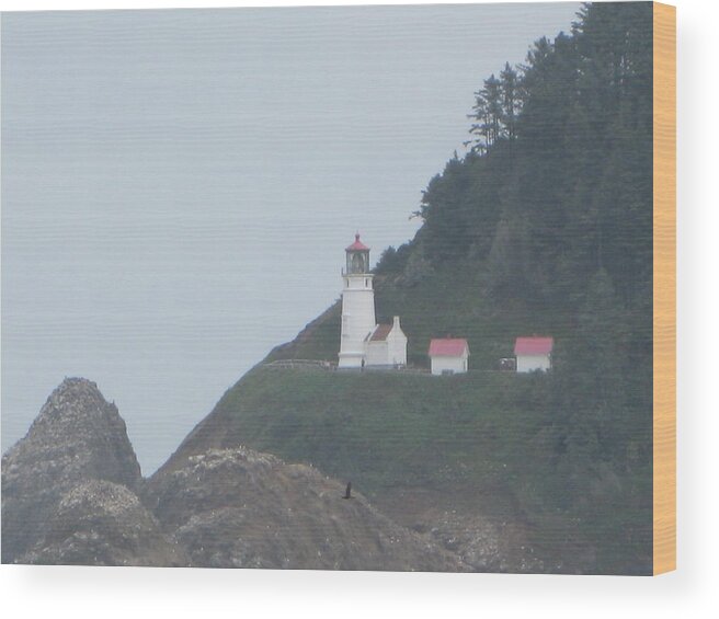 Landscape Wood Print featuring the photograph Cliff Side Light House by Kathy Long