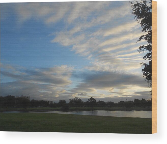 Landscape Wood Print featuring the photograph Clouds Of Distinction by Sheila Silverstein