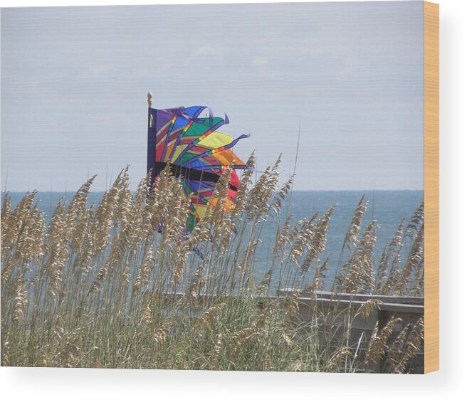 Flag Wood Print featuring the photograph Color And Wind by Kim Galluzzo Wozniak