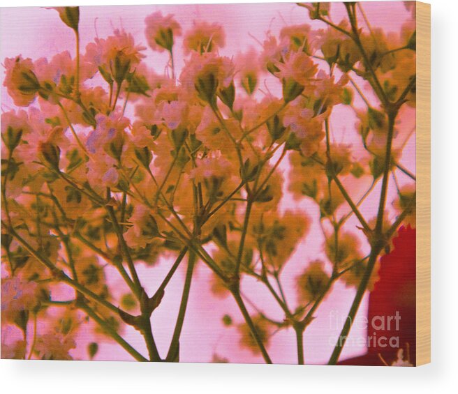 Baby Breath Wood Print featuring the digital art Colored Glasses by Kendra Steiner