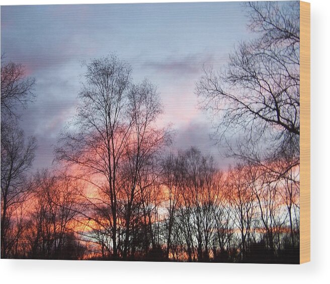 Sunset Wood Print featuring the photograph Colors Of Sunset by Kim Galluzzo