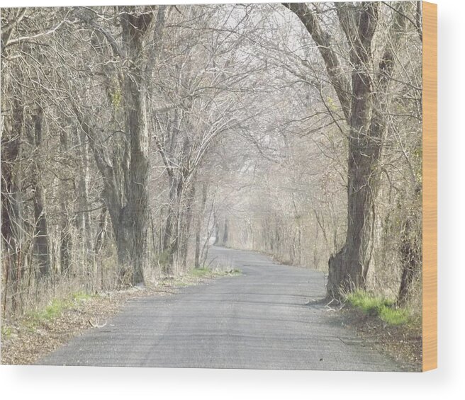Country Wood Print featuring the photograph Country Road by Shannon Bever