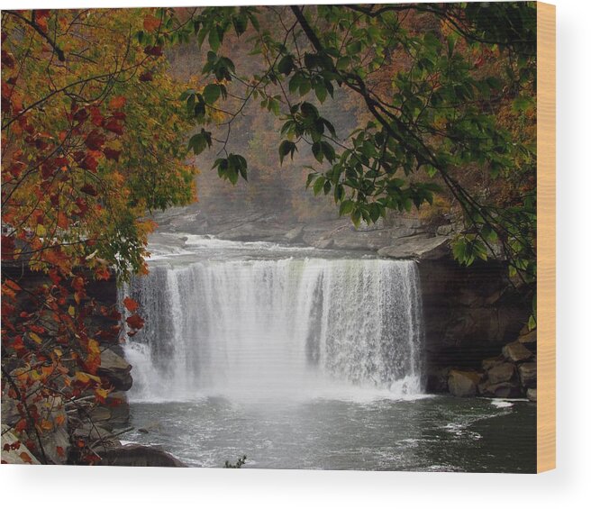 Kathy Long Wood Print featuring the photograph Cumberland Falls 3 by Kathy Long