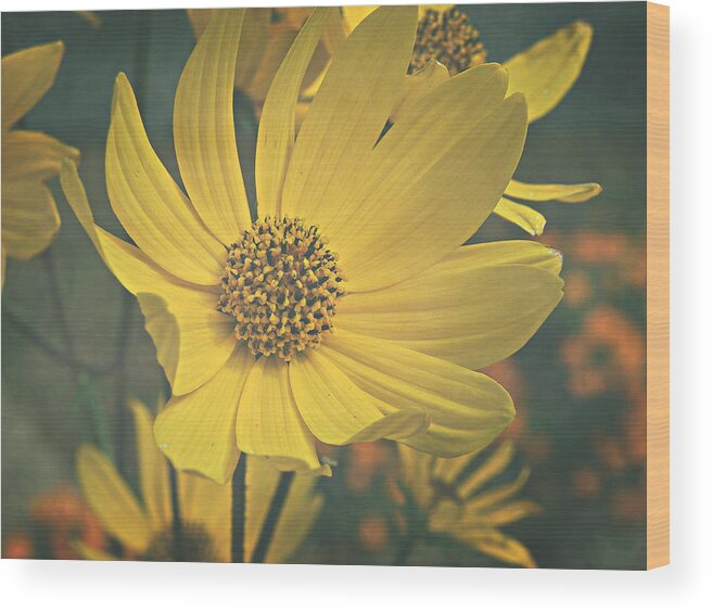 Yellow Wood Print featuring the photograph Daydreaming is Free by Robin Dickinson