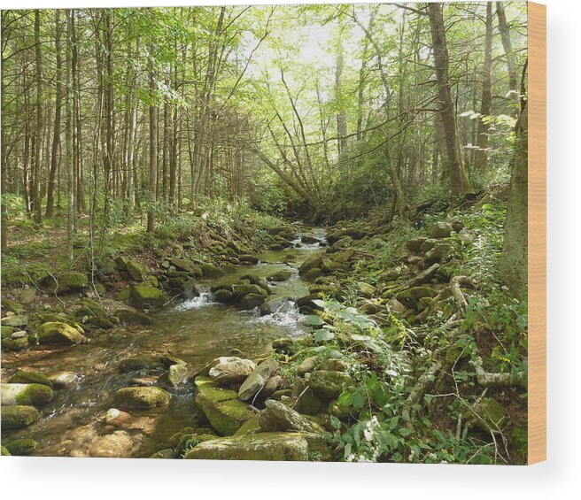 Taking The Road Less Traveled Wood Print featuring the photograph Enchanted Stream by Joel Deutsch