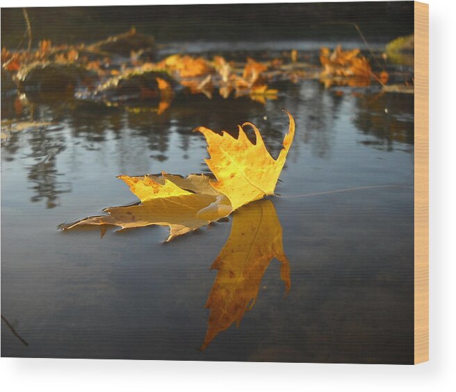 Close Up Wood Print featuring the photograph Fallen Maple Leaf Reflection by Kent Lorentzen