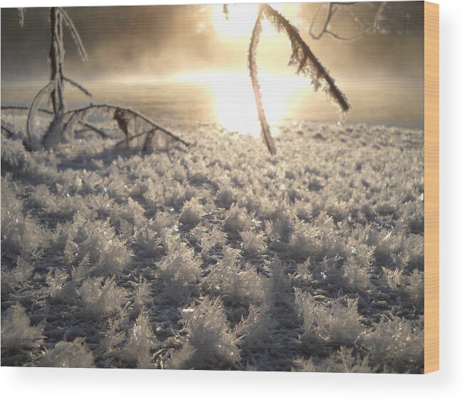 Fractals Wood Print featuring the photograph Fanciful Frosty Fractal Forest by Kent Lorentzen