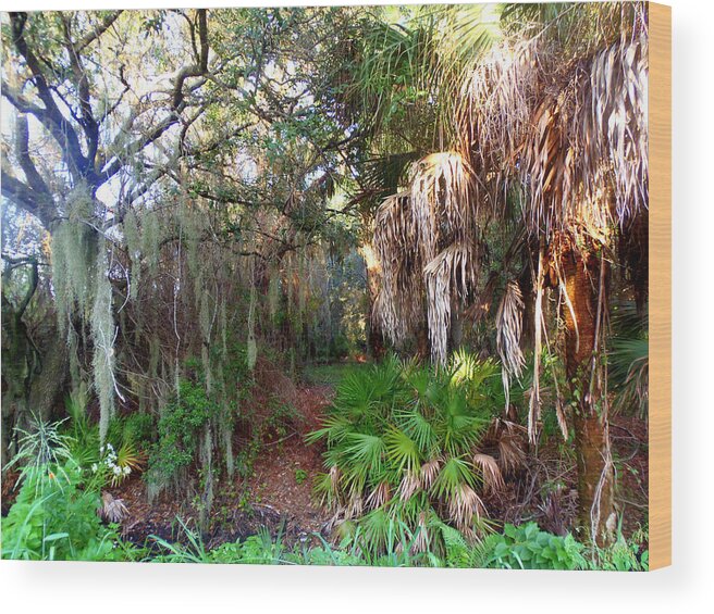 Florida Woods Wood Print featuring the photograph Florida Woods by Lou Ann Bagnall