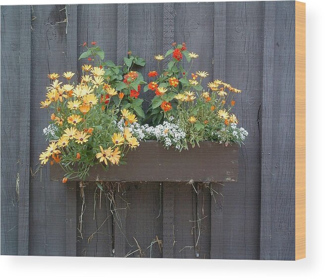 Flowers Wood Print featuring the photograph FLOWERS Summer Blooms on the Barn by William OBrien