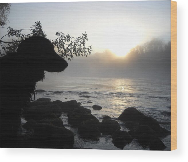 Fog Wood Print featuring the photograph Fog on the Rocks Sunrise by Kent Lorentzen