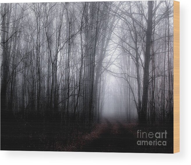 Fog Wood Print featuring the photograph Foggy Trail - Morning Blue by Angie Rea