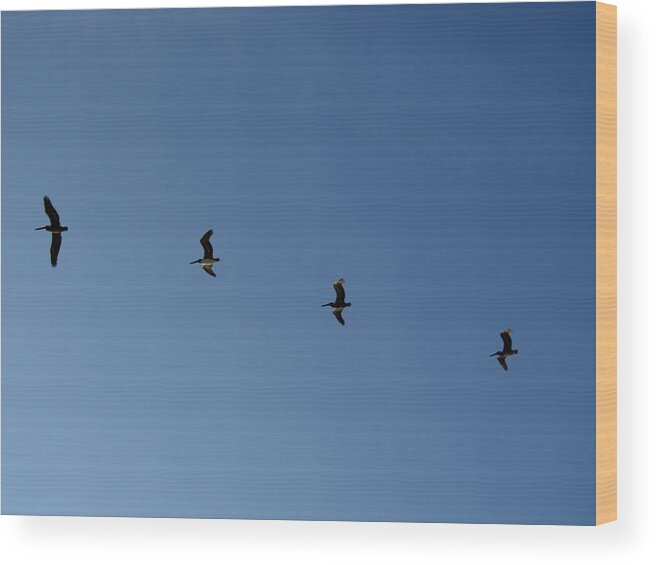 Landscape Wood Print featuring the photograph Follow the Leader by Kathy Long