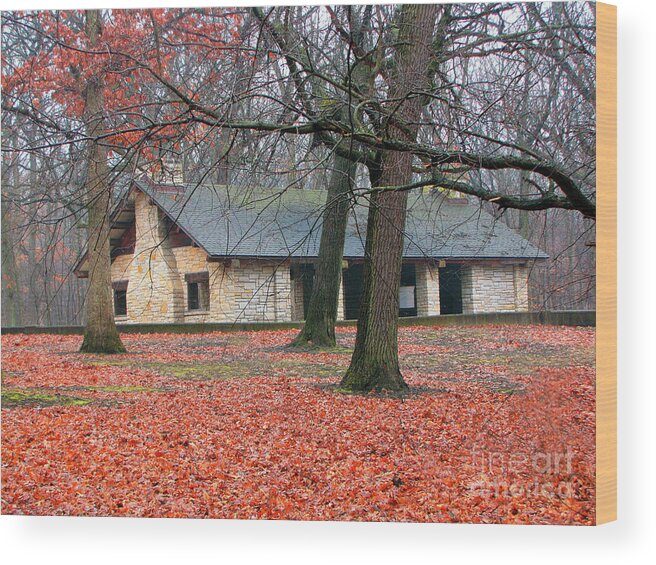 Architecture Wood Print featuring the photograph Forest Field House 1 by Cedric Hampton