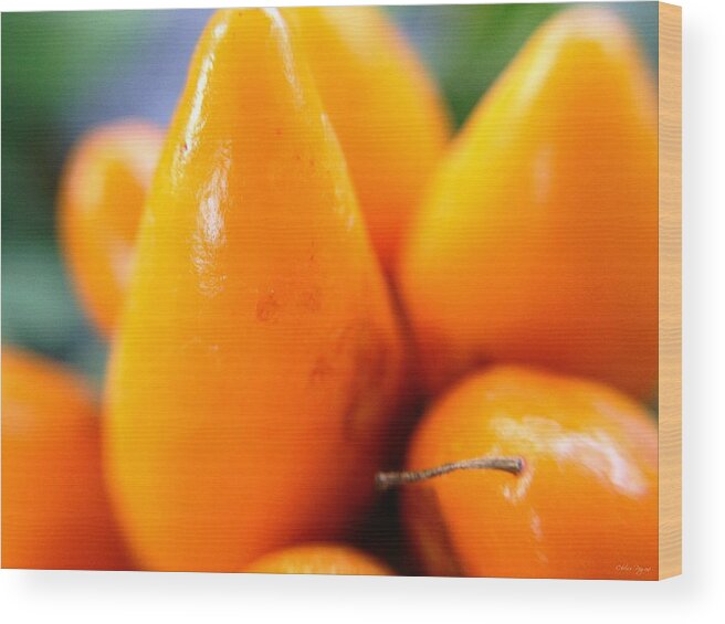 Photo Art Wood Print featuring the photograph Ghost in the Pepper by Chriss Pagani