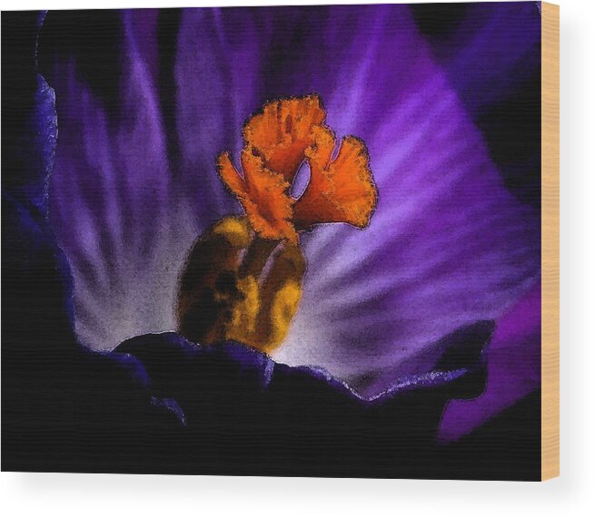Flower Wood Print featuring the photograph Glowing Purple by Karen Harrison Brown