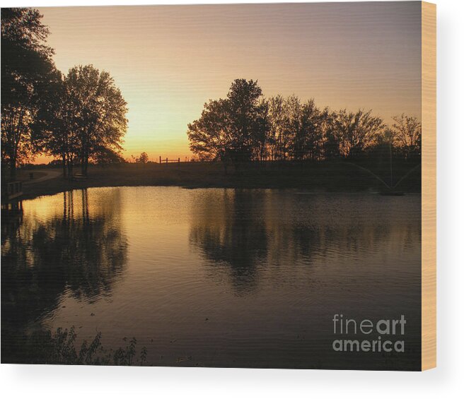 Mineola Nature Preserve Wood Print featuring the photograph Golden Sunset by Kathy White