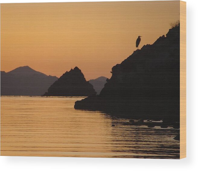 Sunrise Wood Print featuring the photograph Good Morning Sunshine by Ramie Liddle