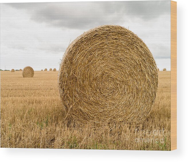 Pei Prince Edward Island Canada Beach Rural Vacation Hay Farm Bale Straw Agriculture Wood Print featuring the photograph Hay Bales by Edward Fielding