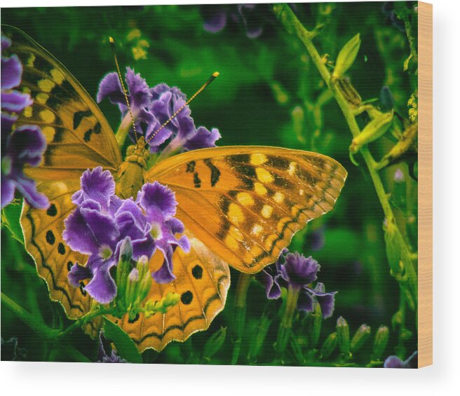 Insect Wood Print featuring the photograph Hiding in the Flowers by Stacy Michelle Smith