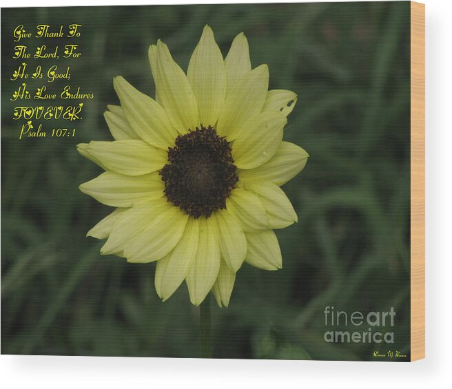 Flower Wood Print featuring the photograph His Love Endures Forever by Donna Brown