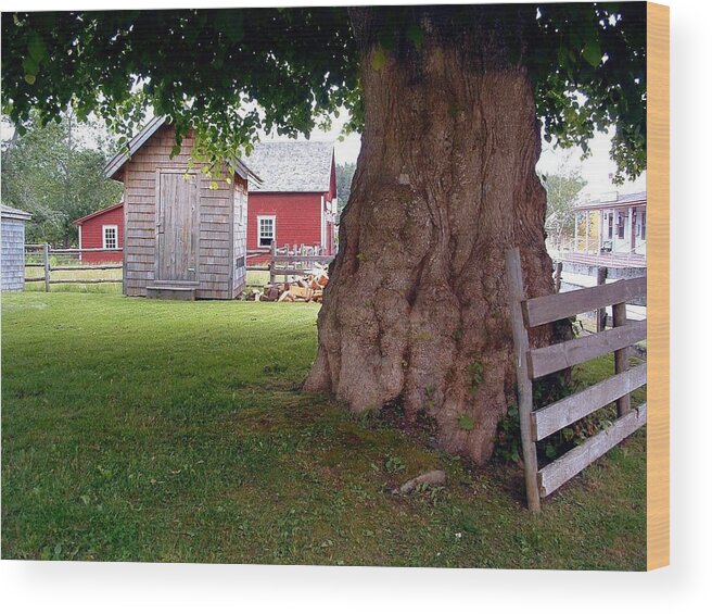 Sherbrooke Pioneer Village Wood Print featuring the photograph HISTORY Sherbrooke Village Nova Scotia by William OBrien