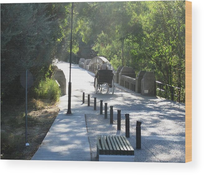 Olympia Wood Print featuring the photograph Horse and Carriage on the Pathway Entrance to Olympia Archaeological Site in Greece by John Shiron