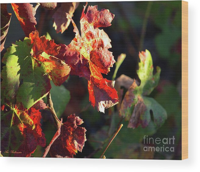 Hot Wood Print featuring the photograph Hot autumn Leaves by Arik Baltinester