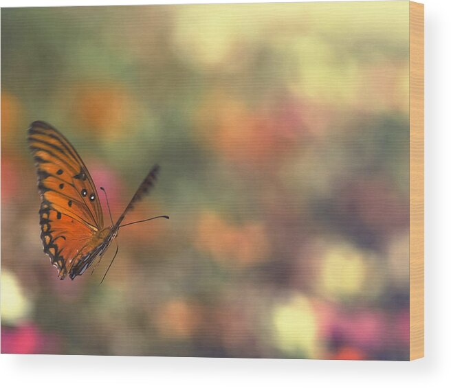 Butterfly Wood Print featuring the photograph In Flight by Joel Olives
