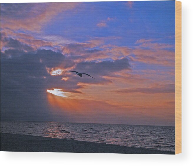 Sunrise Wood Print featuring the photograph Into the misty morning sun by Brian Wright