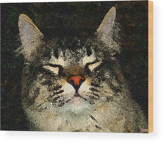 Cat Wood Print featuring the photograph Jeff fray by Paula Greenlee