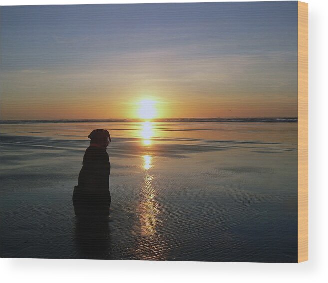 Pet Wood Print featuring the photograph Labrador Watching the Sun Set by Pamela Patch