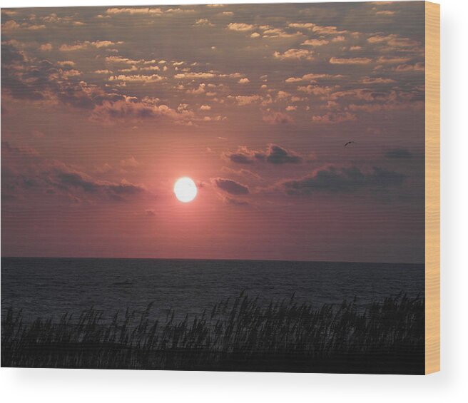 Sunrise Wood Print featuring the photograph Land To Sky Beauty by Kim Galluzzo